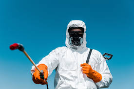 Best Organic or Eco-Friendly Pest Control  in Somerdale, NJ